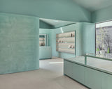 Modern interior design with light green walls and furniture