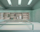 Modern interior with shelves and a glass display case in a light green room.