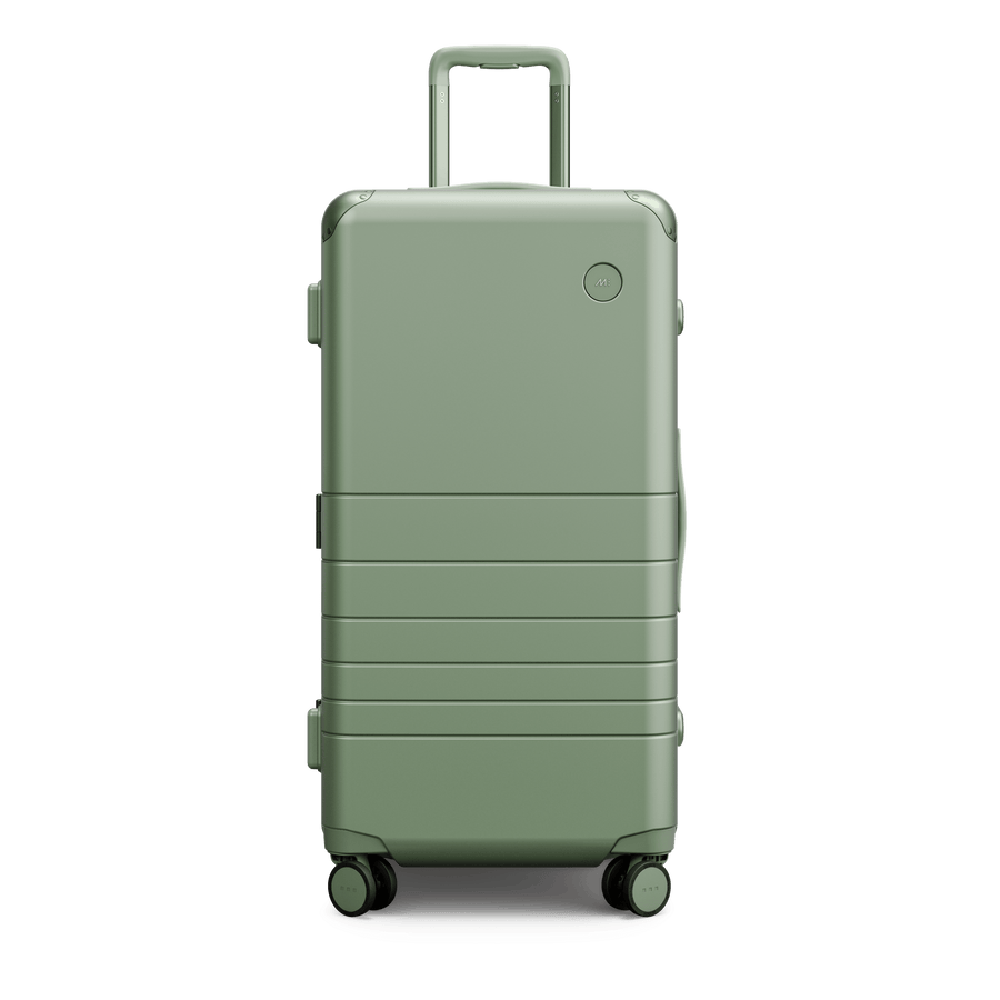 Mint Scaled | Front view of Hybrid Trunk in Mint